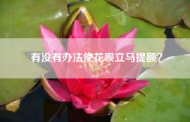 有没有办法使花呗立马提额？