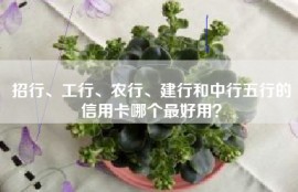 招行、工行、农行、建行和中行五行的信用卡哪个最好用？