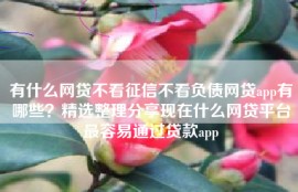 有什么网贷不看征信不看负债网贷app有哪些？精选整理分享现在什么网贷平台最容易通过贷款app
