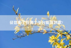 征信花了在哪个平台能贷到款?
