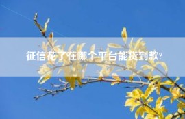 征信花了在哪个平台能贷到款?