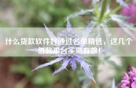 什么贷款软件好通过名单精选，这几个借款平台实测有效！