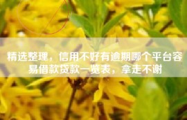 精选整理，信用不好有逾期哪个平台容易借款贷款一览表，拿走不谢