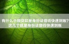 有什么小额贷款是身份证借钱快速到账？这几个就是身份证借钱快速到账