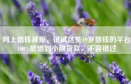 网上借钱被拒，试试这些19岁借钱的平台100%能借到小额贷款，不容错过