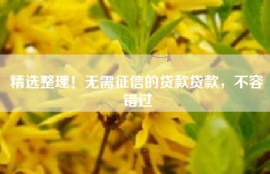 精选整理！无需征信的贷款贷款，不容错过