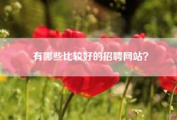 有哪些比较好的招聘网站？