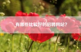 有哪些比较好的招聘网站？