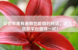 征信很黑有逾期也能借的网贷，这几个贷款平台值得一试！
