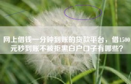 网上借钱一分钟到账的贷款平台，借1500元秒到账不被拒黑白户口子有哪些？