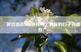 ​微信借款3000块钱马上到账的口子有哪些?