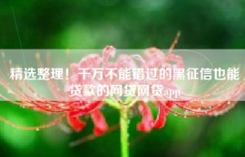 精选整理！千万不能错过的黑征信也能贷款的网贷网贷app