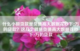 什么小额贷款是负债高大数据花秒下2万的贷款？这几个就是负债高大数据花秒下2万的贷款