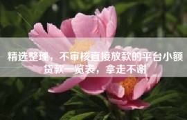 精选整理，不审核直接放款的平台小额贷款一览表，拿走不谢