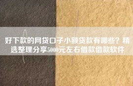 好下款的网贷口子小额贷款有哪些？精选整理分享5000元左右借款借款软件