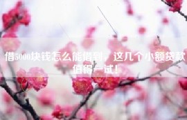 借5000块钱怎么能借到，这几个小额贷款值得一试！