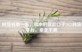 网贷名单一览，放水的贷款口子2022网贷平台，拿走不谢