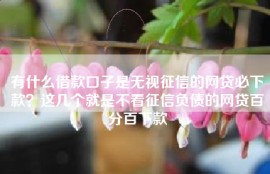 有什么借款口子是无视征信的网贷必下款？这几个就是不看征信负债的网贷百分百下款