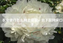 农业银行怎么网上贷款，包下款网贷口子