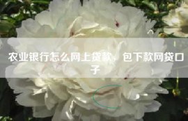 农业银行怎么网上贷款，包下款网贷口子
