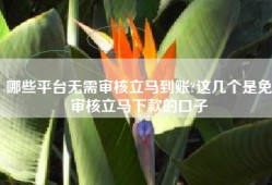 哪些平台无需审核立马到账?这几个是免审核立马下款的口子