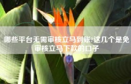 哪些平台无需审核立马到账?这几个是免审核立马下款的口子