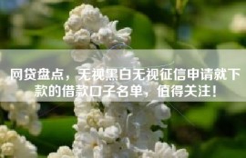 网贷盘点，无视黑白无视征信申请就下款的借款口子名单，值得关注！