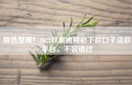 精选整理！2022双黑逾期必下款口子贷款平台，不容错过