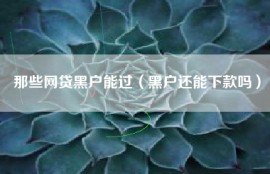 那些网贷黑户能过（黑户还能下款吗）