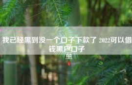 我已经黑到没一个口子下款了 2022可以借钱黑户口子