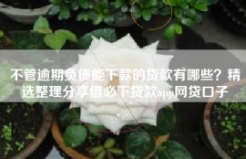 不管逾期负债能下款的贷款有哪些？精选整理分享借必下贷款app网贷口子