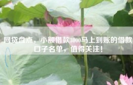 网贷盘点，小额借款3000马上到账的借款口子名单，值得关注！
