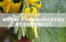 精选整理！千万不能错过的信誉不好去哪个平台借钱借款口子