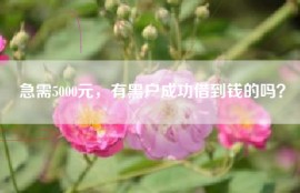 急需5000元，有黑户成功借到钱的吗？