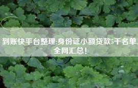 到账快平台整理:身份证小额贷款5千名单,全网汇总！