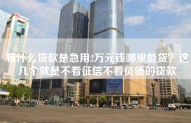 有什么贷款是急用2万元钱哪里能贷？这几个就是不看征信不看负债的贷款
