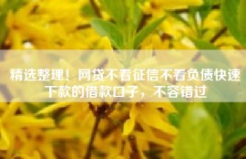 精选整理！网贷不看征信不看负债快速下款的借款口子，不容错过