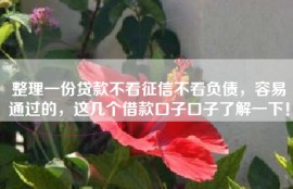 整理一份贷款不看征信不看负债，容易通过的，这几个借款口子口子了解一下！