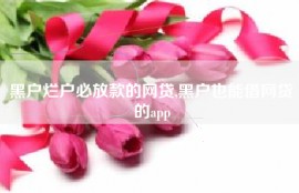 黑户烂户必放款的网贷,黑户也能借网贷的app