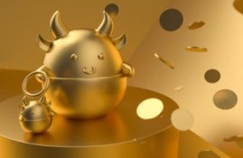 个人社保不想交了可以退钱吗？权威解答让你明明白白知道！