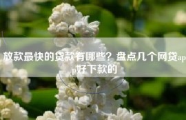 放款最快的贷款有哪些？盘点几个网贷app好下款的
