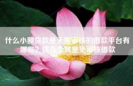 什么小额贷款是无需审核的借款平台有哪些？这几个就是免审核借款
