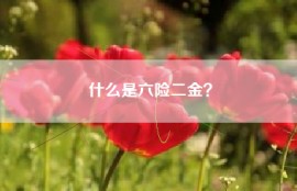 什么是六险二金？