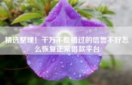 精选整理！千万不能错过的信誉不好怎么恢复正常借款平台