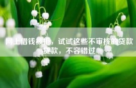 网上借钱被拒，试试这些不审核的贷款贷款，不容错过
