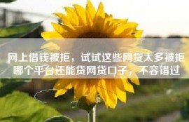 网上借钱被拒，试试这些网贷太多被拒哪个平台还能贷网贷口子，不容错过