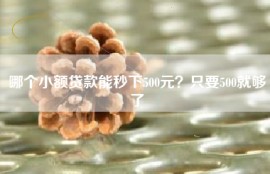 哪个小额贷款能秒下500元？只要500就够了