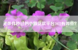 无条件秒过的小额贷款平台2022有哪些？