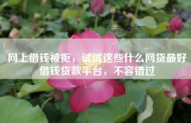 网上借钱被拒，试试这些什么网贷最好借钱贷款平台，不容错过