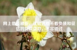 网上借钱被拒，试试这些不看负债和征信的贷款贷款，不容错过
